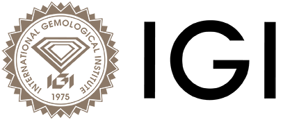 logo_IGI